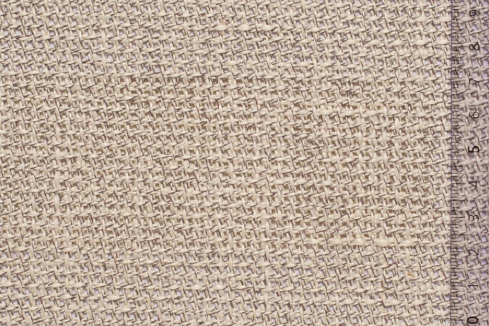 06FLA28GRAxxxCOT[FLAMENCO 28](GRAY)F